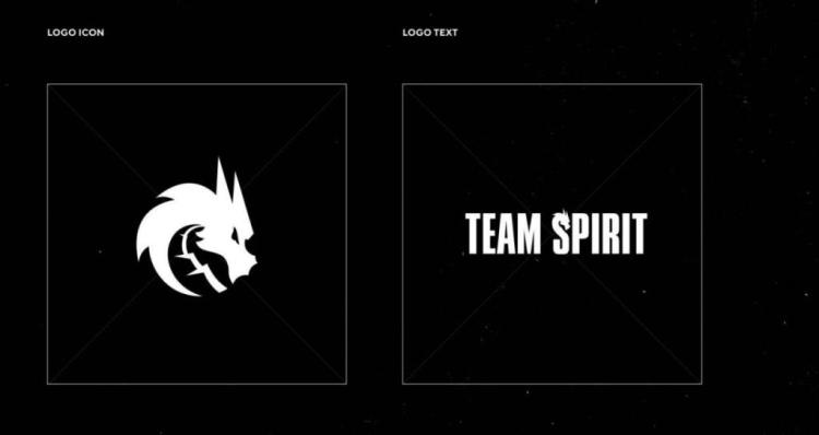 Netværket har en mulig lineup Team Spirit af League of Legends