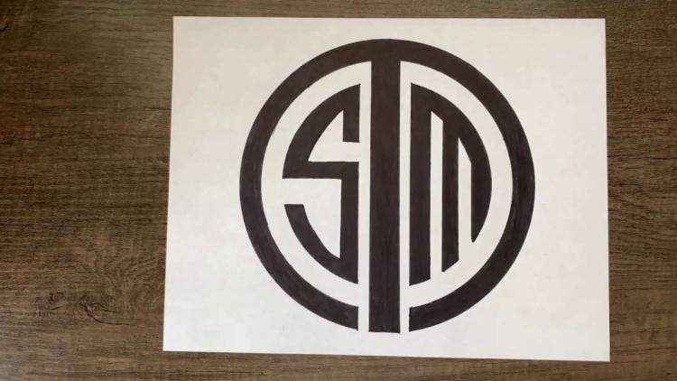 TSM -vejledningen bringer klarhed over fremtidens CS:GO-projekt