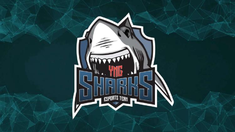 Rygter: rdnzao bliver en ny spiller Sharks Esports