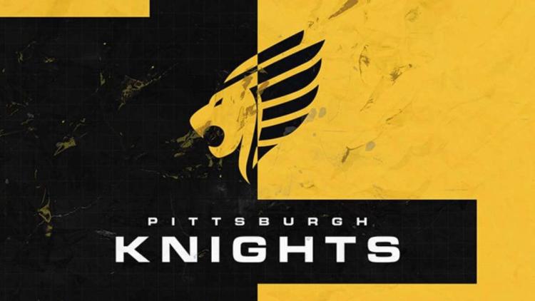 Zineel blev en ny spiller Knights, der erstatter ZPS