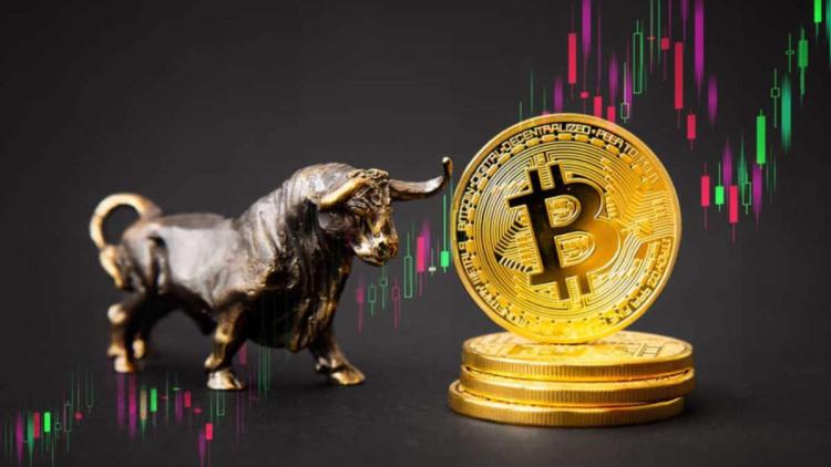 Grundlægger XOR strategy: "Bullrun BTC starter her"