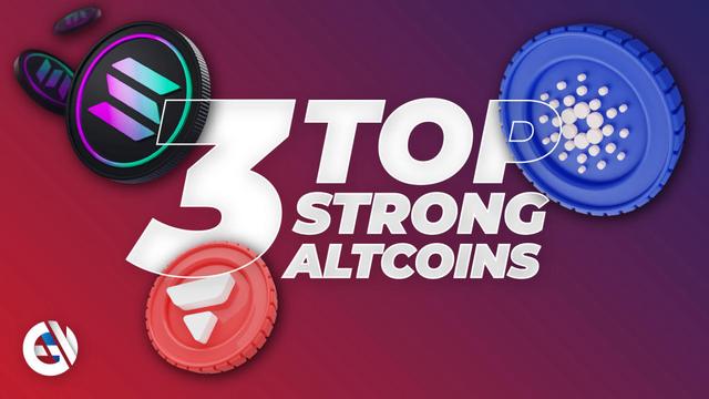 Top 3 altcoins med stærke fundamentals