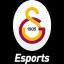 Galatasaray Esports