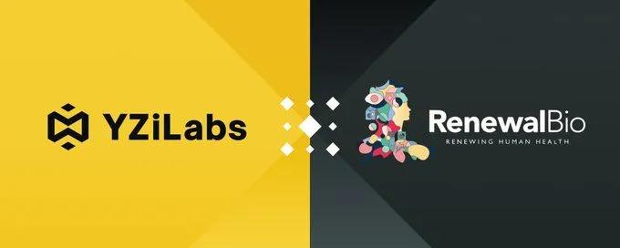 YZi Labs investerer i Renewal Bio: Et revolutionerende skridt inden for regenerativ medicin for at overvinde organmangel