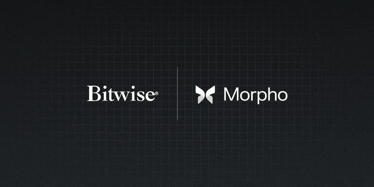 Bitwise lancerer On-Chain Vault i partnerskab med Morpho