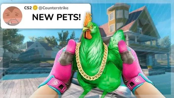 Dataminere opdager nye spor: Kæledyr kommer muligvis til CS2