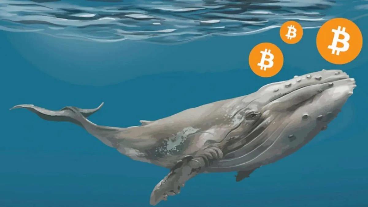 Prisen på bitcoin for første gang i 2 år faldt til under $15.800