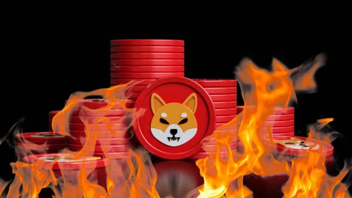 Over 48.000.000 Shiba Inu er blevet brændt inden for de sidste 24 timer