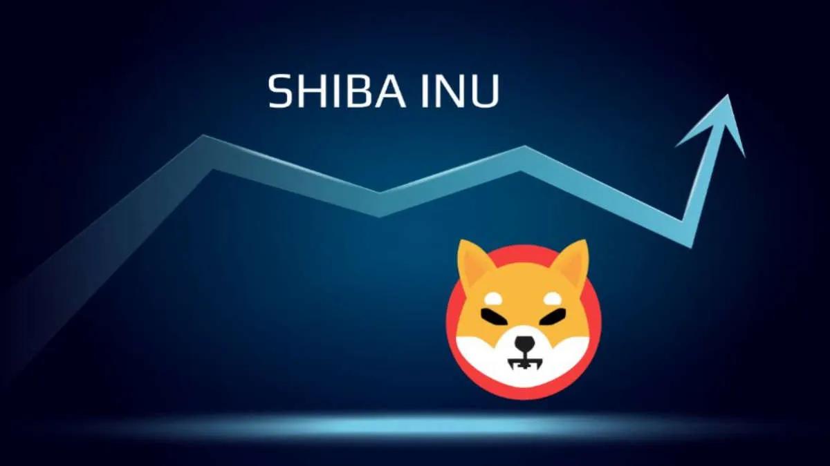 Memeophobning - Hvaler købte 2.500.000.000.000 Shiba Inu pr. dag