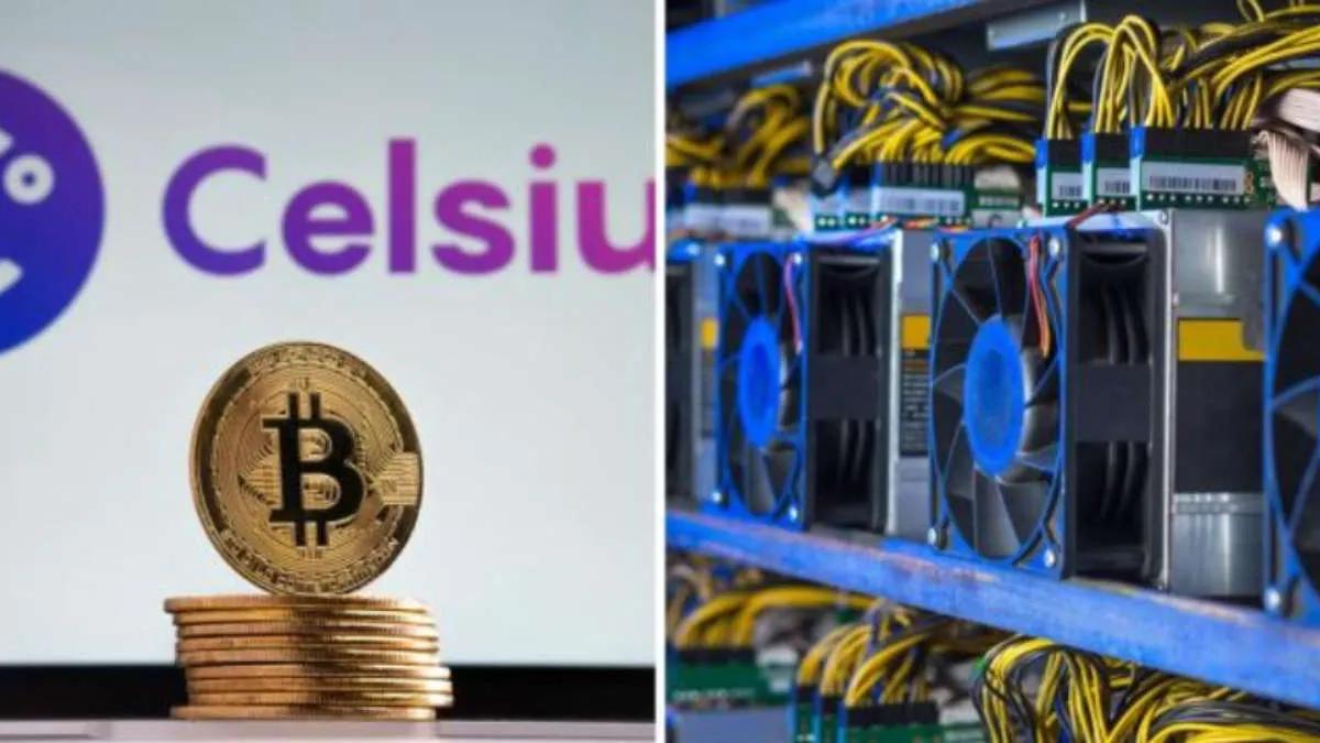 Celsius Network vil snart afgøre skæbnen for deres minedrift