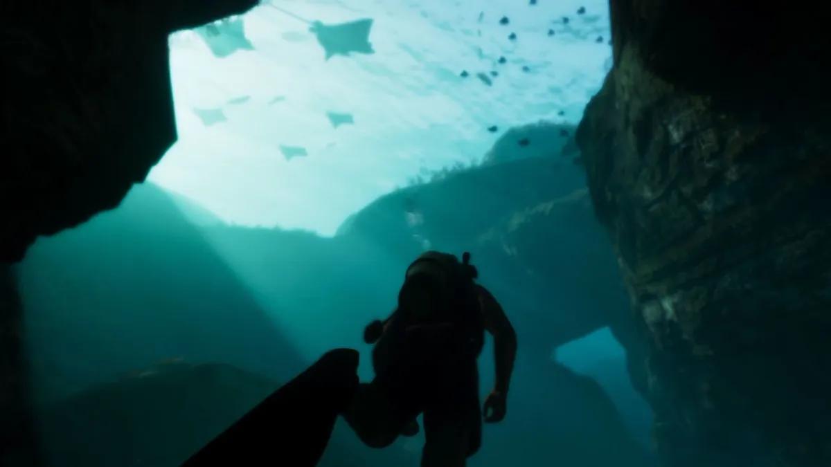 GTA 6 vil muligvis indeholde sin egen version af Miami Seaquarium