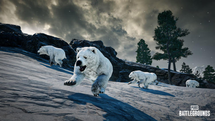 Isbjørne, et nyt trådkors og opdateret våbenbalance er PUBG patch 22.1 changelog. Foto 1