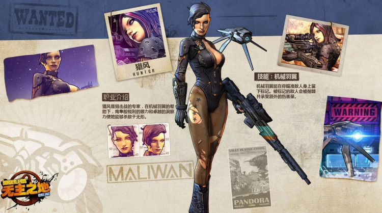 Borderlands-arkivarerne kæmper for at redde det forsvundne MMO, før det forsvinder for altid.