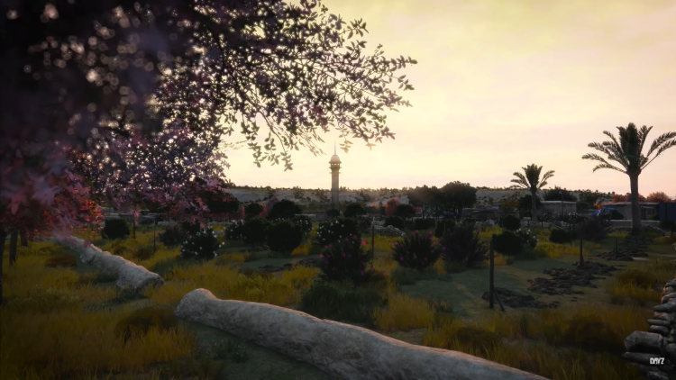 DayZ's hidtil største kort bringer sovjetiske spøgelser og ørkenruiner til live i 2026 1