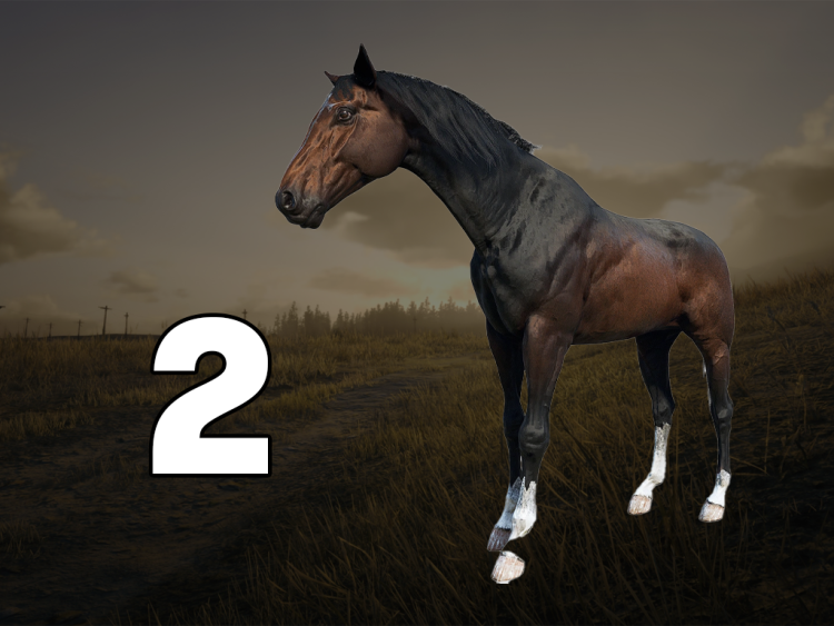 De 10 bedste heste i Red Dead Redemption 2, rangeret efter præstation 9